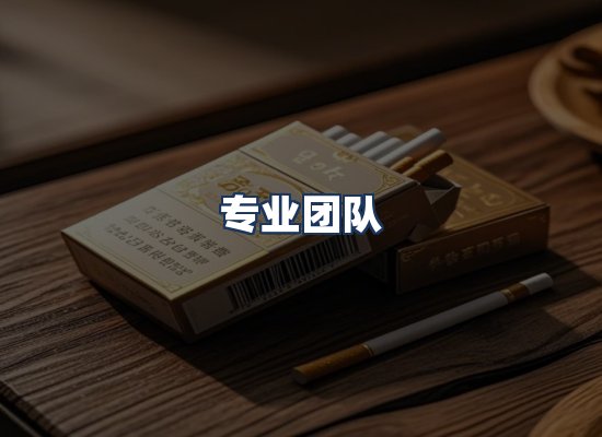 专业团队